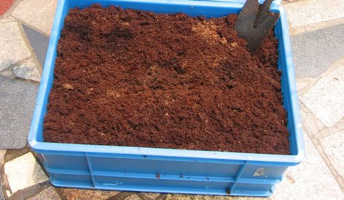 进口无菌 椰砖土650g±50g 种菜种花土 压缩营养土 盆栽有机肥图片_16